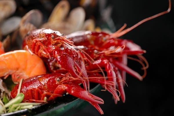 Monthly Sunday Lobster Brunch @Yamm - The Mira Hong Kong
