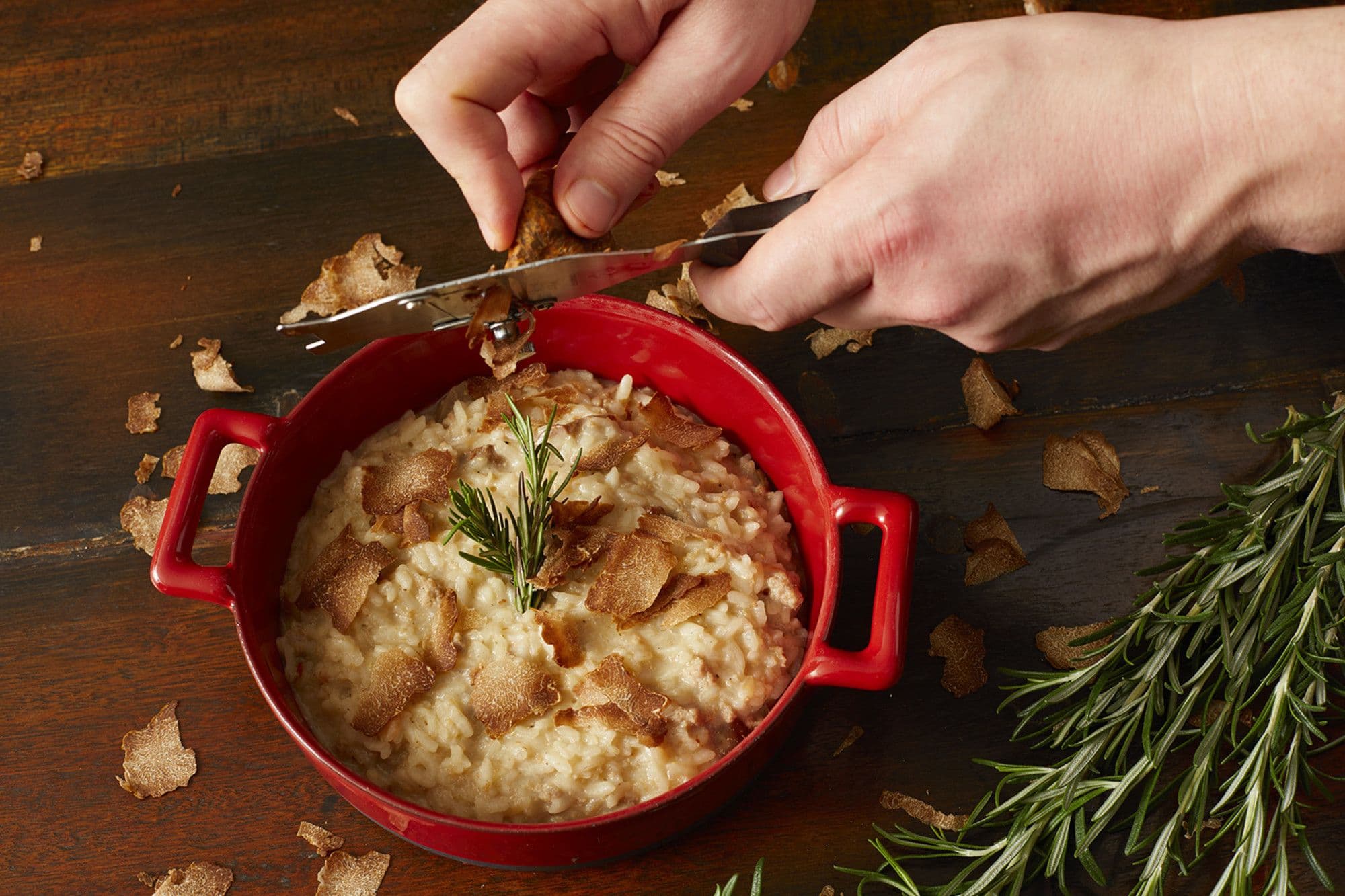 「鑽石級」松露菌